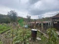 Продава КЪЩА, област Шумен, с. Веселиново • 80000 лв. / 40903.35 € • 58158799 14