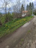 Продава  Парцел област Перник , с. Касилаг , 1438 кв.м | 89474774 - изображение [5]