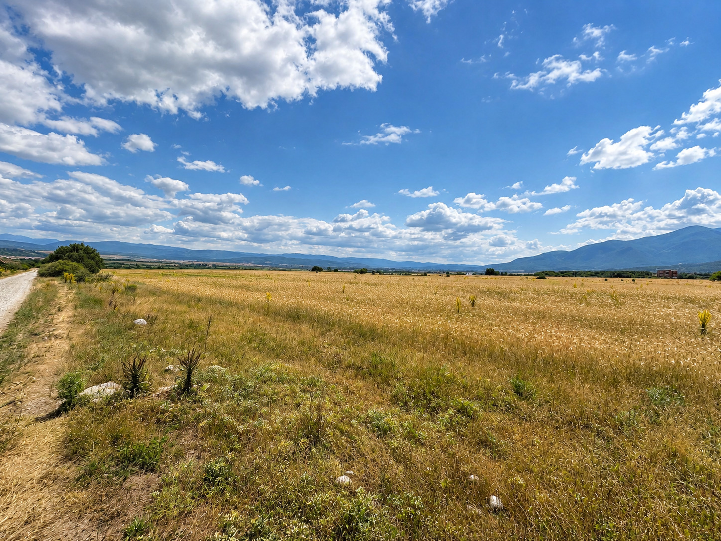 ������� ������ | Imot.bg � ����������� 4