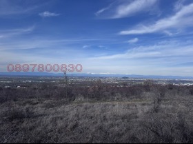 ������ ������� ������