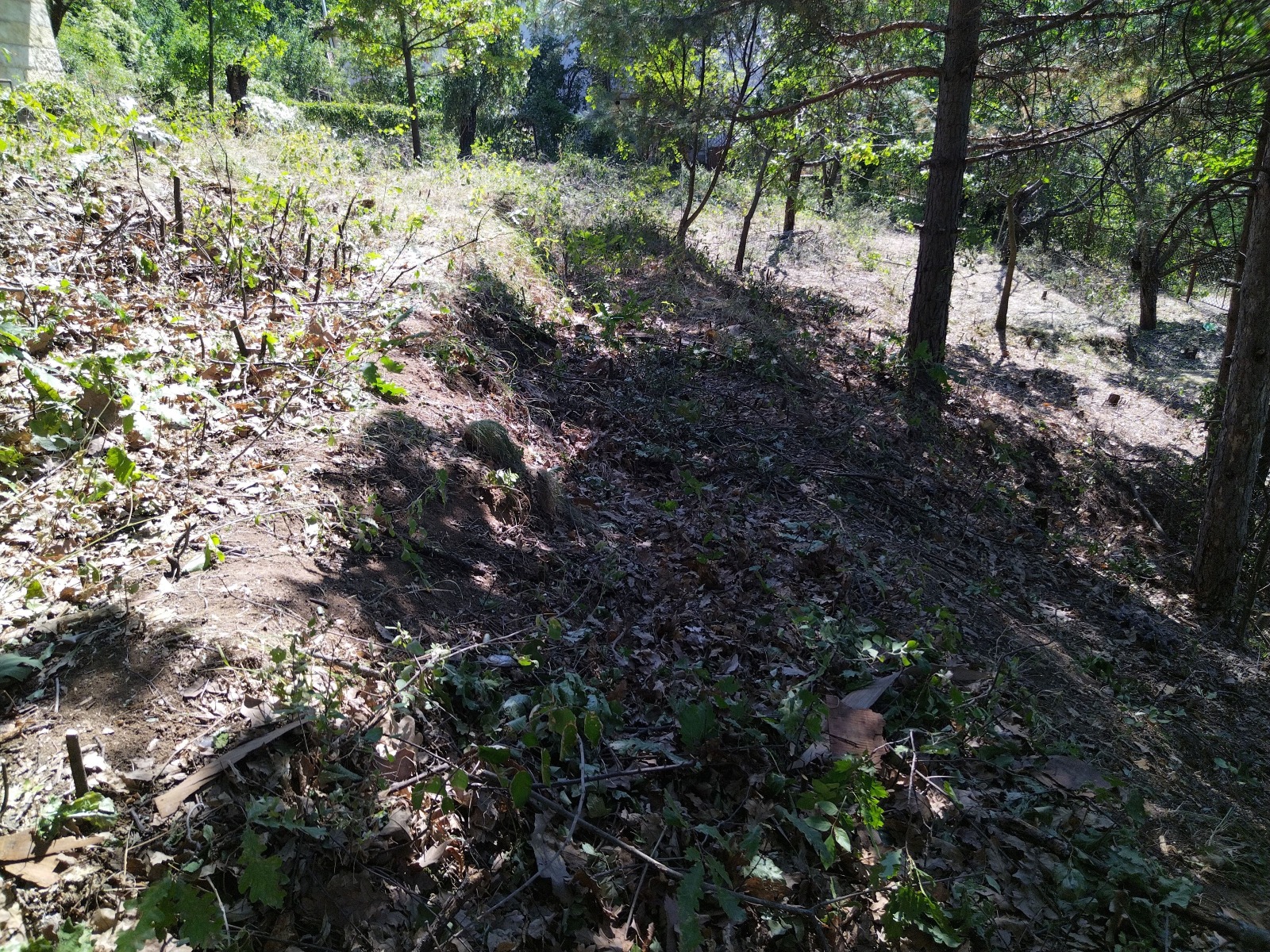 Продава КЪЩА, с. Рударци, област Перник, снимка 5 - Къщи - 55702147