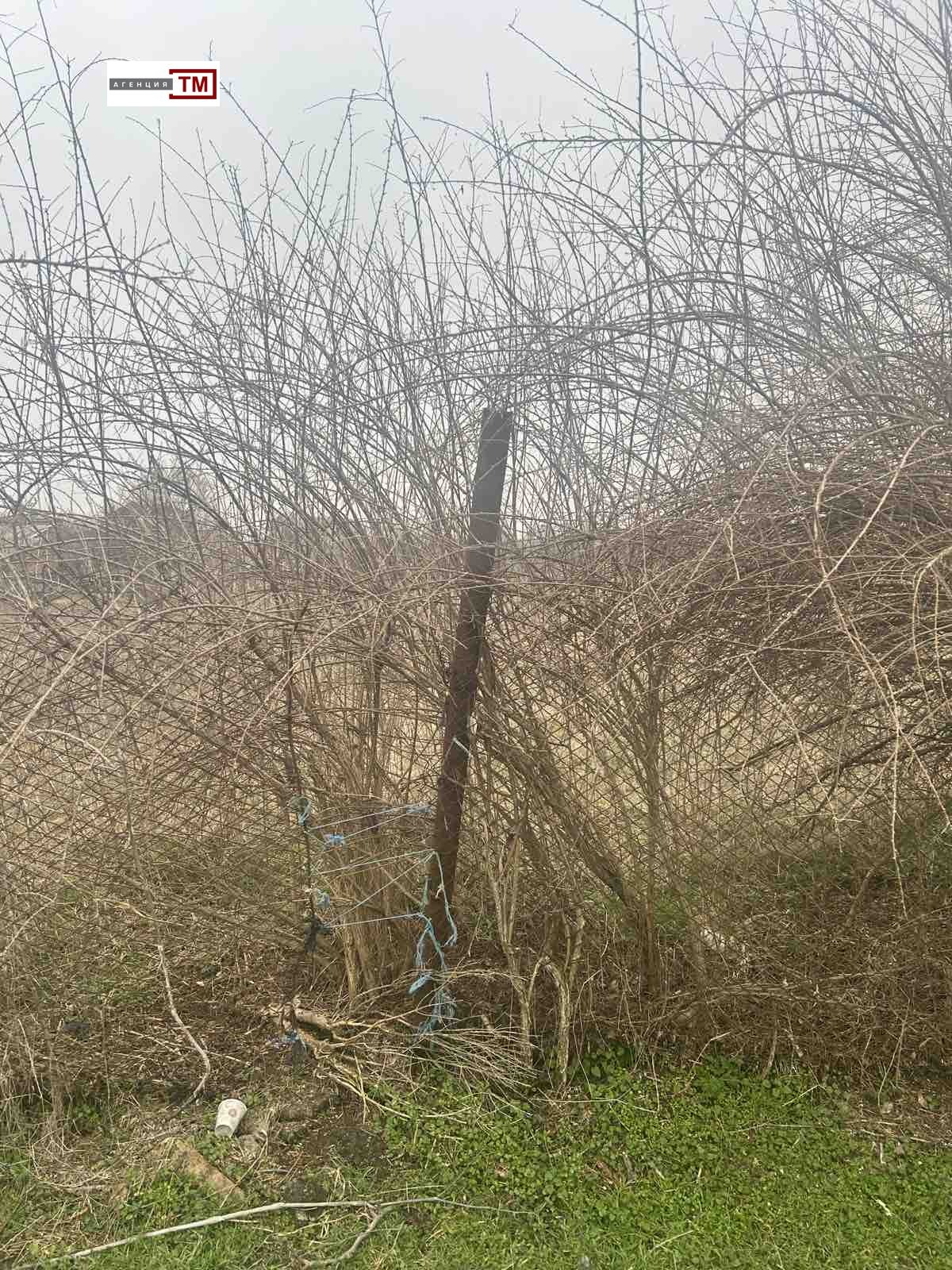 Продава ПАРЦЕЛ, с. Арнаутито, област Стара Загора, снимка 2 - Парцели - 53680735