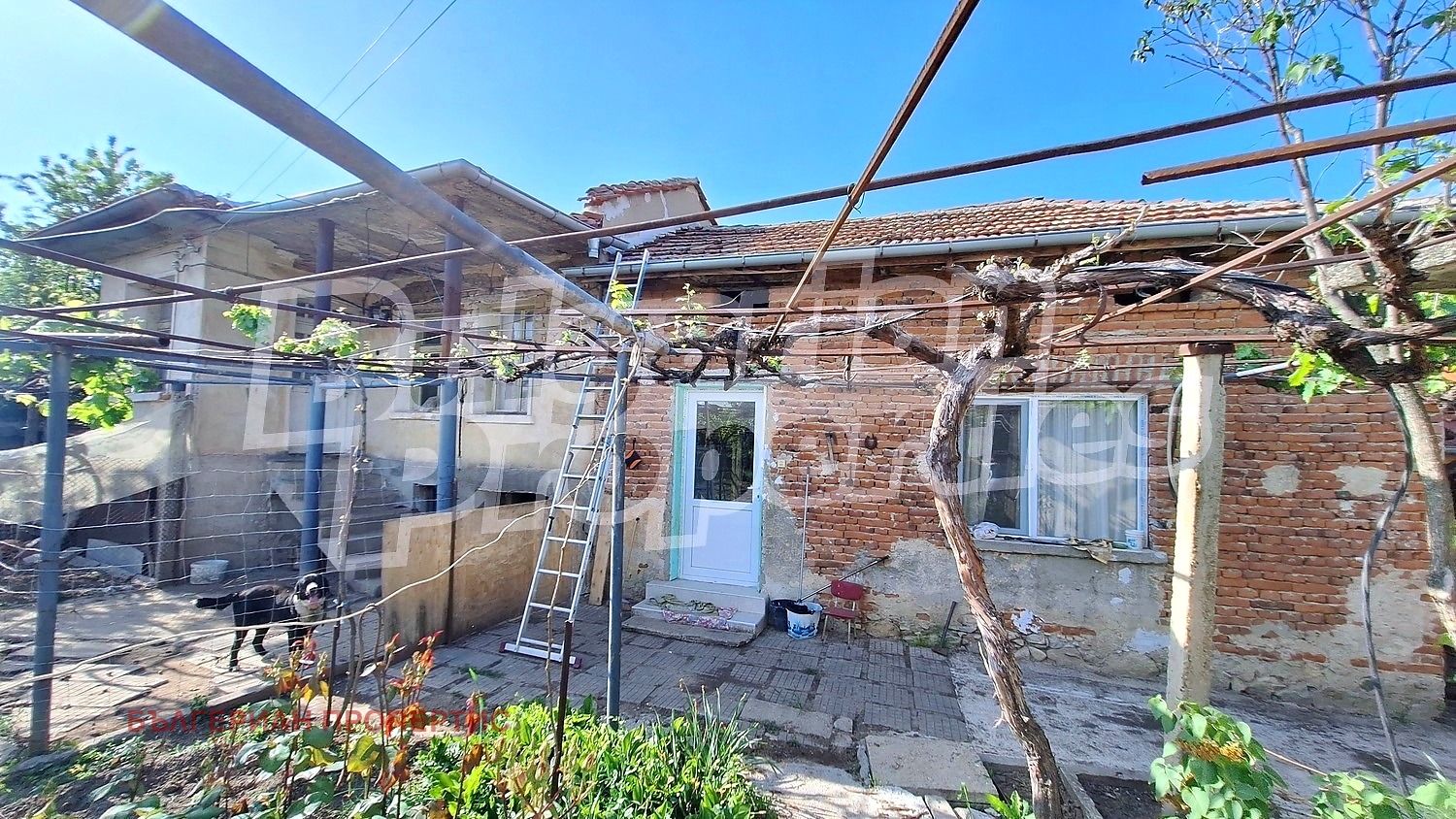 ������� ���� | Imot.bg � ����������� 9