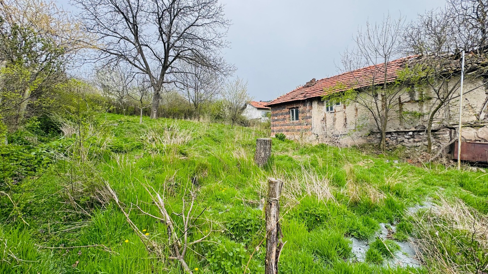 ������� ������ | Imot.bg � ����������� 5