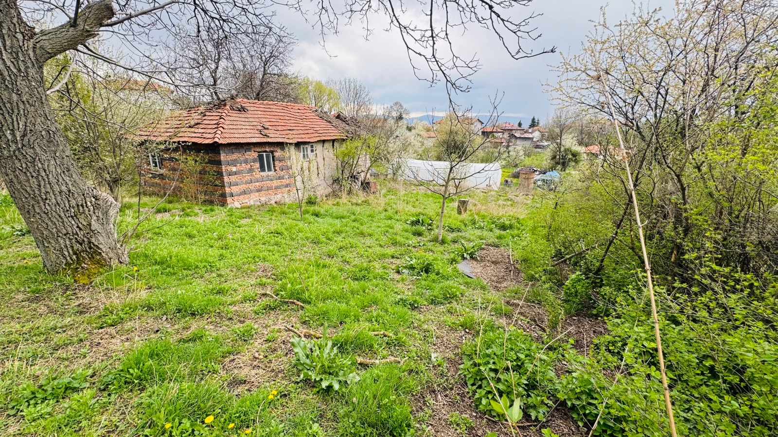 ������� ������ | Imot.bg � ����������� 8