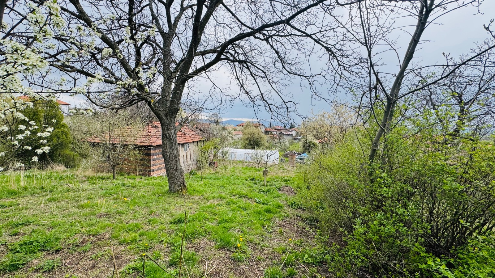 ������� ������ | Imot.bg � ����������� 1