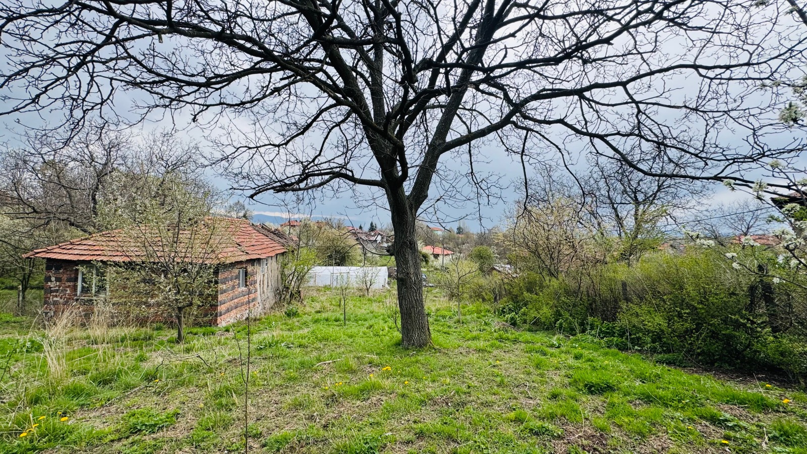 ������� ������ | Imot.bg � ����������� 3