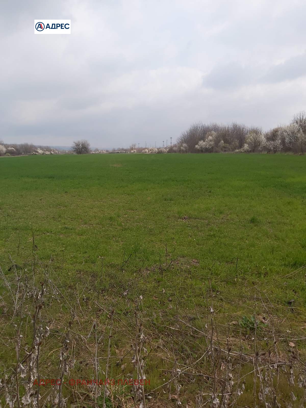 ������� ������ | Imot.bg � ����������� 1