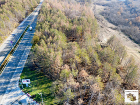 Парцел град Велико Търново, Света гора 1