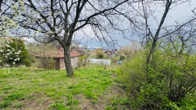 ����� ������� ������,���� ������, ��������� ������