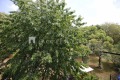 Продава  2-стаен град София , Западен парк , 51 кв.м | 69401883 - изображение [10]