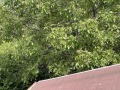 Продава КЪЩА, град София, Филиповци • 195000 € • 95909397 — Holmes.bg