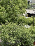 Продава КЪЩА, град София, Филиповци • 195000 € • 95909397 — Holmes.bg