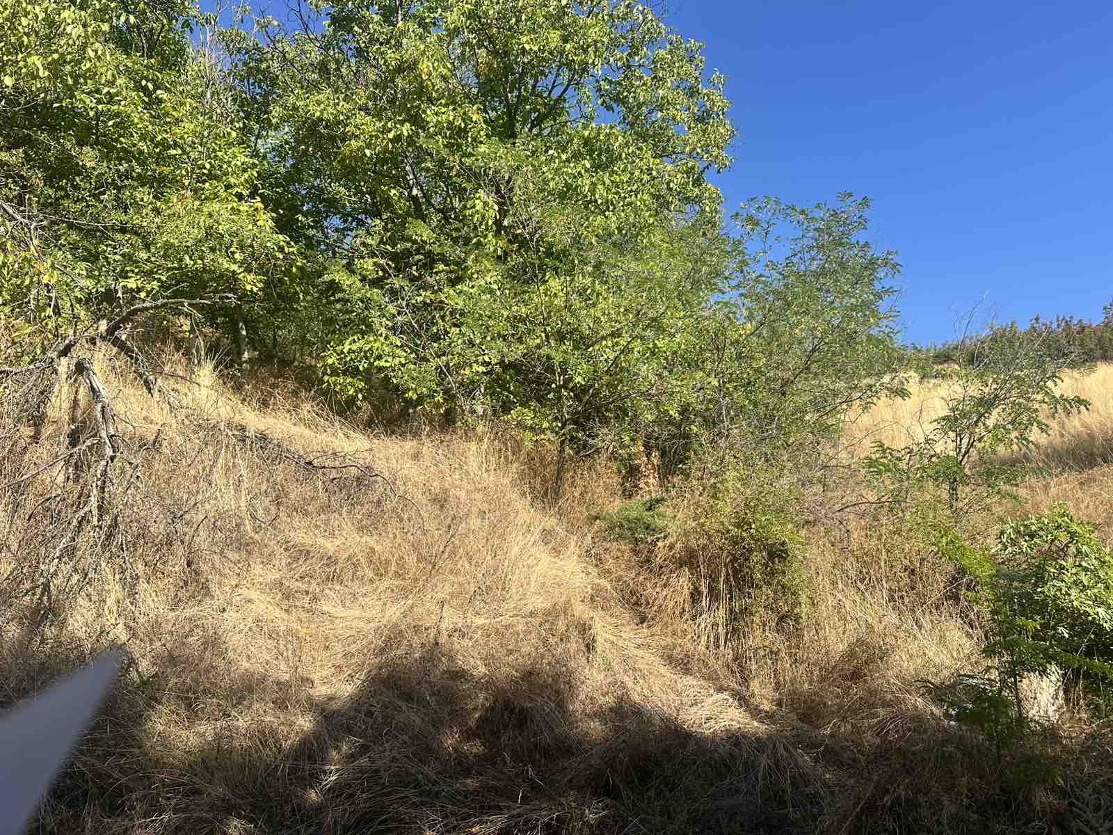 Продава ПАРЦЕЛ, с. Енчец, област Кърджали, снимка 6 - Парцели - 56017010