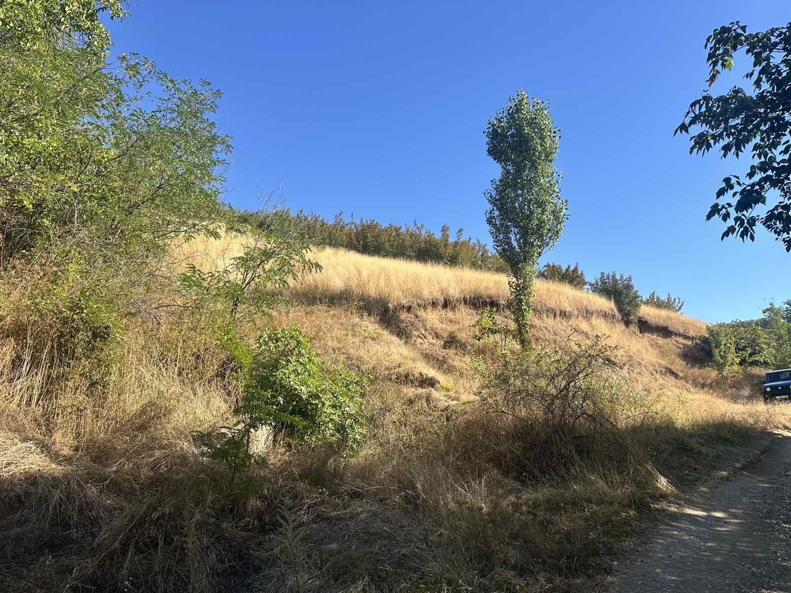 Продава ПАРЦЕЛ, с. Енчец, област Кърджали, снимка 5 - Парцели - 56017010