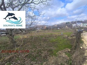 ����� ������� ������,���� �����, ������>