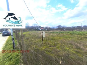 ����� ������� ������,���� �����, ������