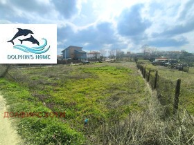 ����� ������� ������,���� �����, ������