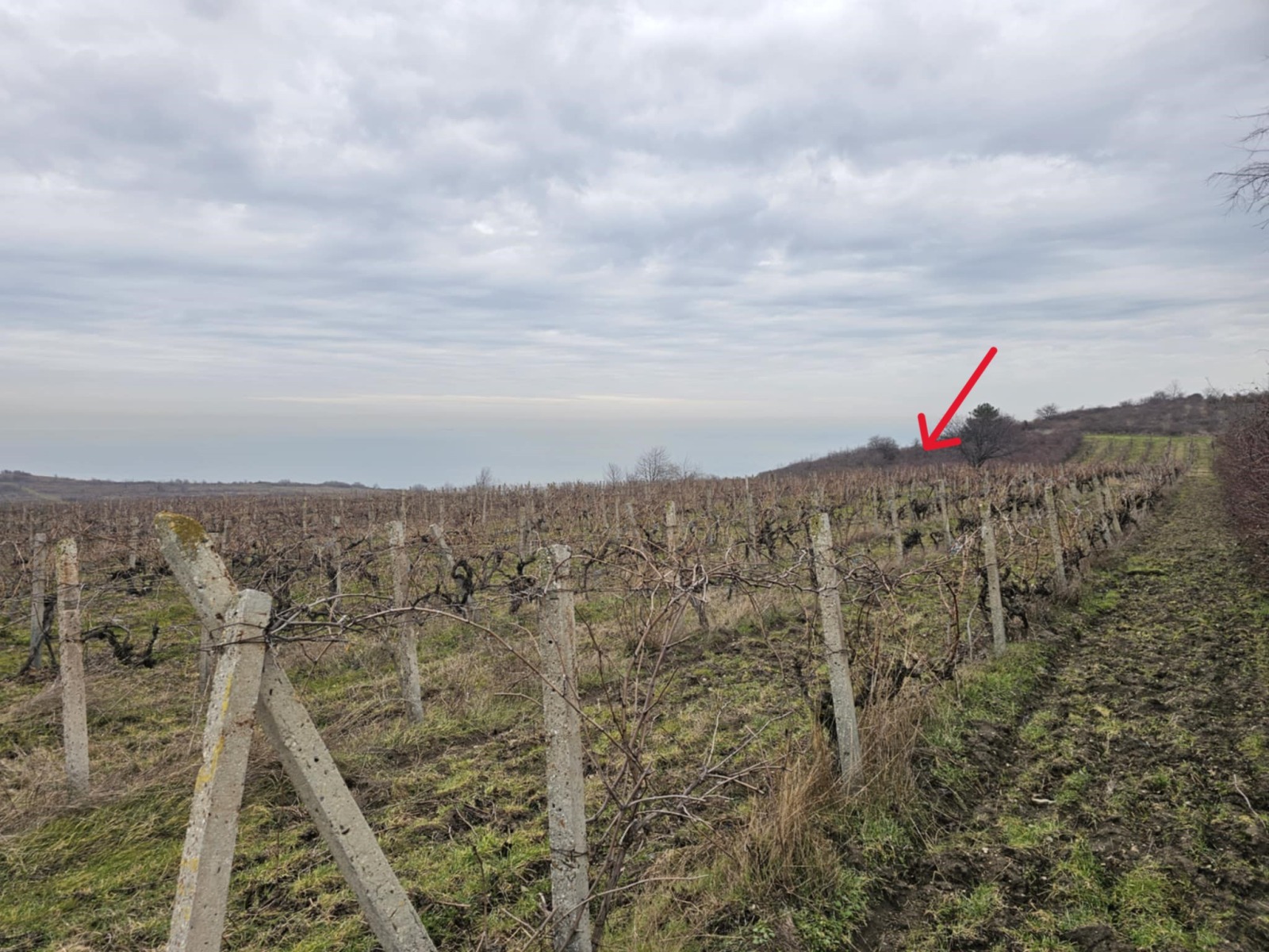 ������� ������ | Imot.bg � ����������� 4