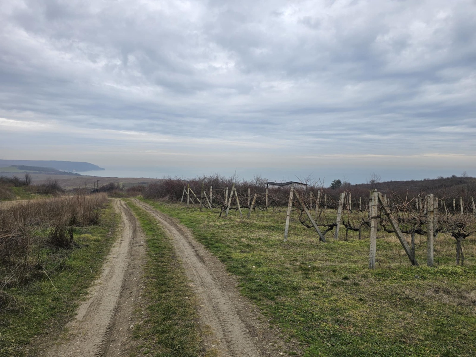 ������� ������ | Imot.bg � ����������� 7