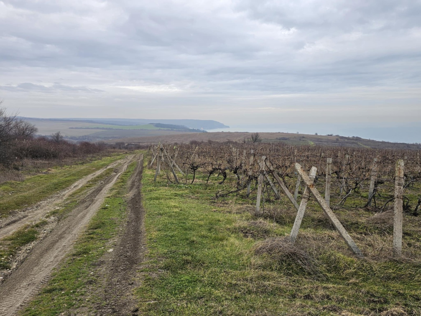 ������� ������ | Imot.bg � ����������� 8