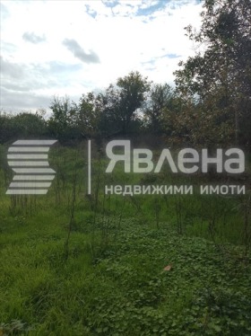 ������� ���� | Imot.bg � ����� ������ 12