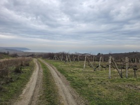 ������� ������ | Imot.bg � ����� ������ 7