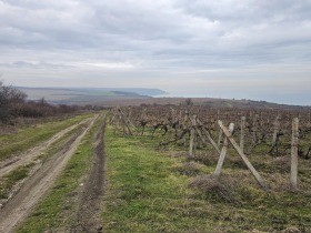 ������� ������ | Imot.bg � ����� ������ 8