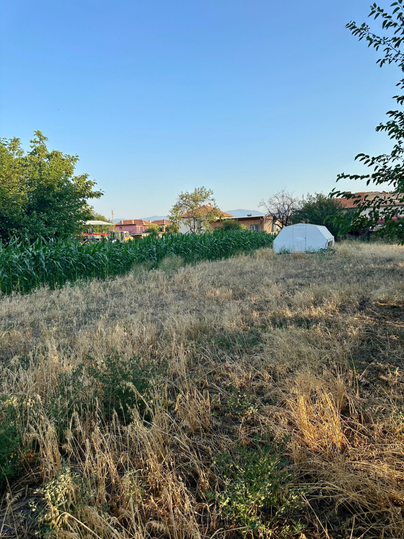 À vendre  Parcelle région Plovdiv , Tsalapitsa , 650 m² | 83882231 - image [3]