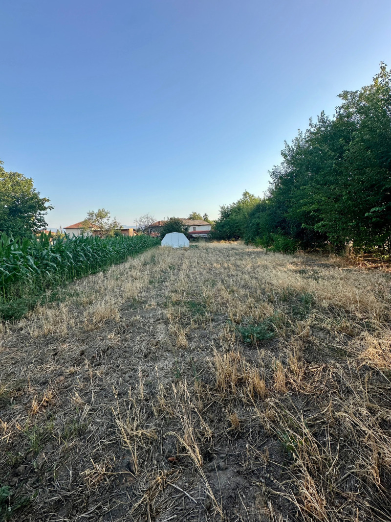 À vendre  Parcelle région Plovdiv , Tsalapitsa , 650 m² | 83882231 - image [2]