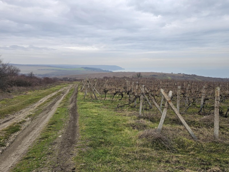 Продава ПАРЦЕЛ, гр. Бяла, област Варна, снимка 8 - Парцели - 53251043