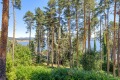 Продава КЪЩА, гр. Батак, област Пазарджик, снимка 6
