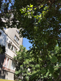 Продава 2-СТАЕН, град София, Център • 80000 € • 99424504 — Holmes.bg