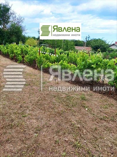 Продава КЪЩА, гр. Шабла, област Добрич, снимка 5 - Къщи - 49566443