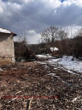 Парцел гр. Радомир, област Перник 1