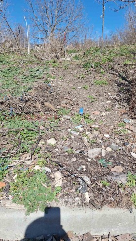 ������� ������ | Imot.bg � ����� ������ 5