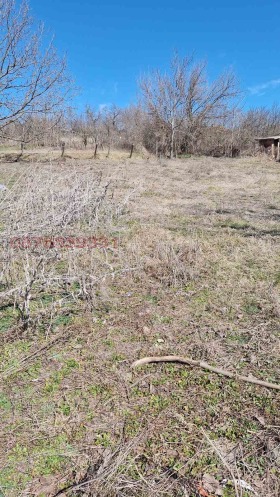 ������� ������ | Imot.bg � ����� ������ 12