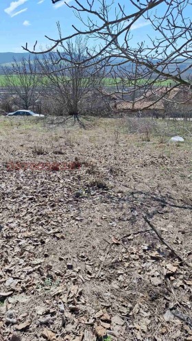 ������� ������ | Imot.bg � ����� ������ 7