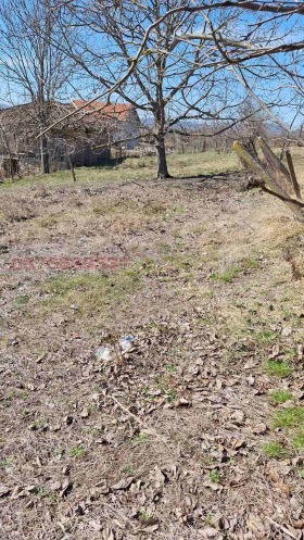 ������� ������ | Imot.bg � ����� ������ 8