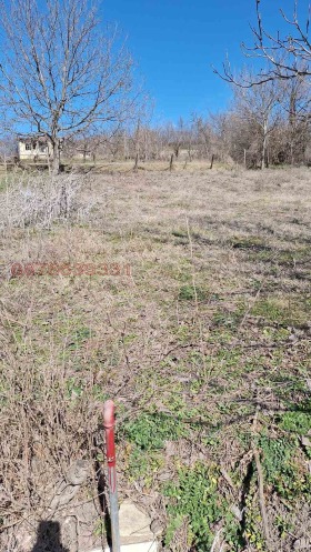 ������� ������ | Imot.bg � ����� ������ 13