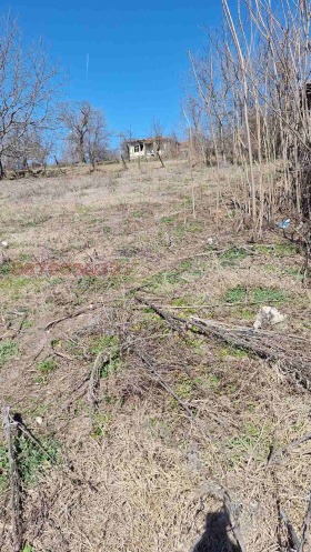 ������� ������ | Imot.bg � ����� ������ 11