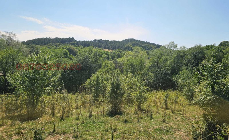 Продава ПАРЦЕЛ, с. Бутроинци, област Перник, снимка 5 - Парцели - 53029452