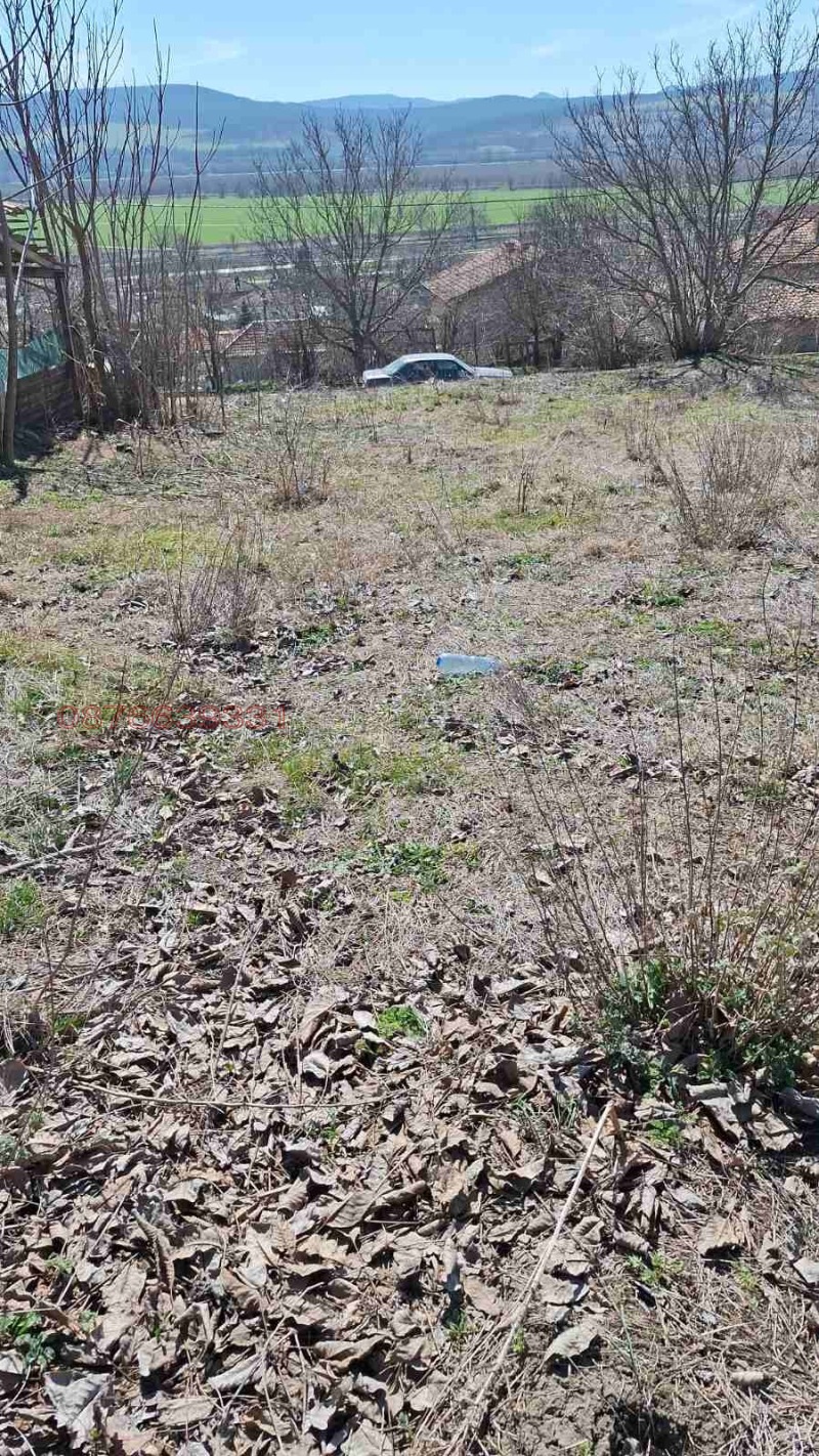 Продава ПАРЦЕЛ, гр. Дългопол, област Варна, снимка 8 - Парцели - 52671037