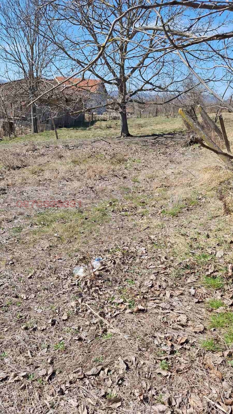 Продава ПАРЦЕЛ, гр. Дългопол, област Варна, снимка 7 - Парцели - 52671037