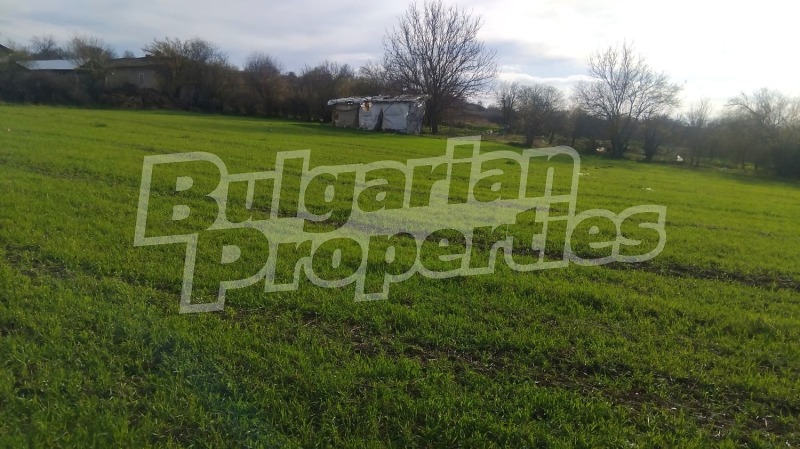 Продава ПАРЦЕЛ, с. Черноглавци, област Шумен, снимка 3 - Парцели - 52645117