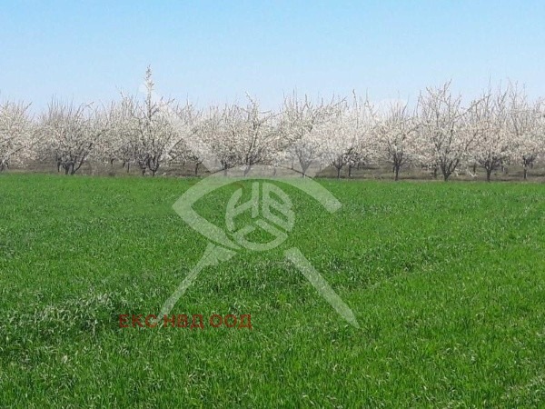 ������� ������ | Imot.bg � ����������� 1