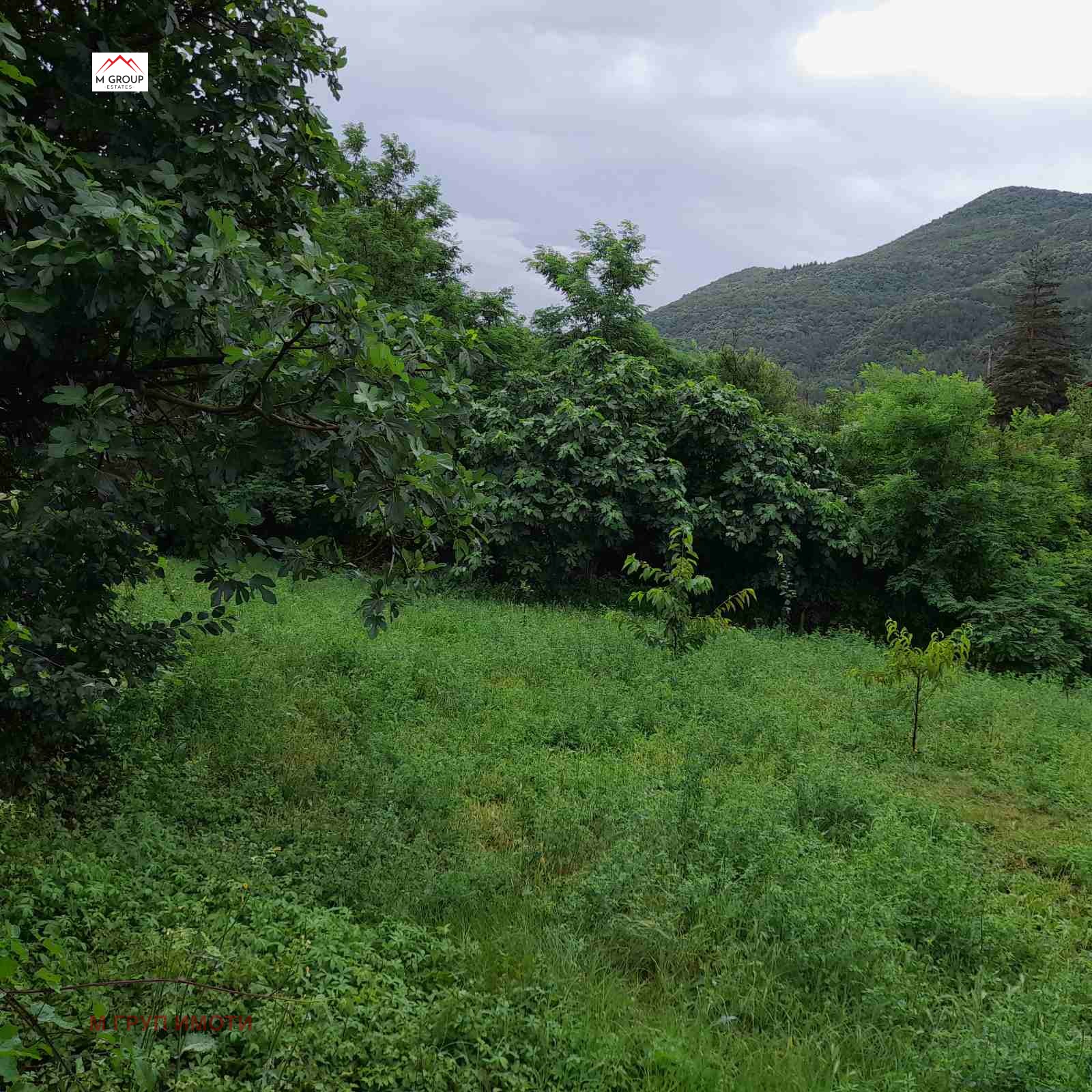 ������� ���� | Imot.bg � ����������� 8