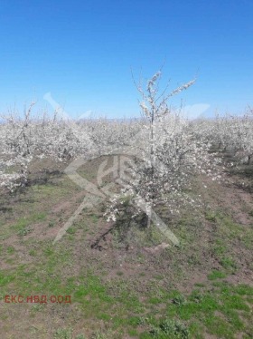 ������� ������ | Imot.bg � ����� ������ 2