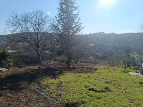 ����� ������� ������,�. ����� �����, ������ ����� ������