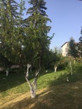 Продава КЪЩА, област София, с. Говедарци • 215000 € • 85287219 — Holmes.bg